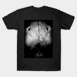 abyss T-Shirt